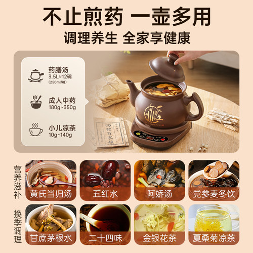 志高中药电煎壶煎药壶全自动熬药家用专用锅药罐熬药电砂锅煮炖机 - 图2