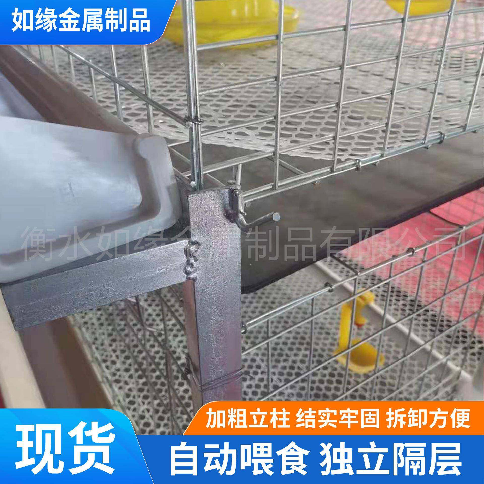 三层立式肉鸡笼三层四层鸡笼H型立式粪盘肉鸡笼养鸡场镀锌肉鸡笼,淘宝优惠券,粉丝福利购,淘宝优惠卷