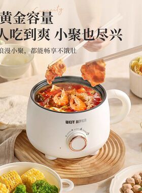 德国蒸煮一体小电电宿舍电锅家用电炒锅电饭煲多功能电热锅火锅