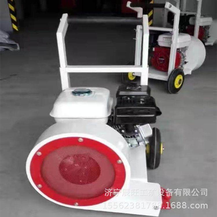 大功率路面机械吹风机 手推式道路汽油吹风机 电动马路吹风机,淘宝优惠券,粉丝福利购,淘宝优惠卷