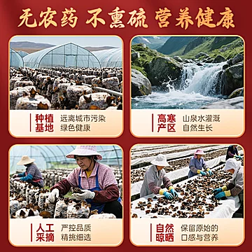 绿山珍品东北特产干货礼盒400g[100元优惠券]-寻折猪