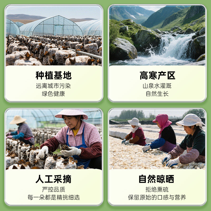 绿山珍品黑木耳东北特产干货肉厚东北木耳凉拌木耳100g/袋