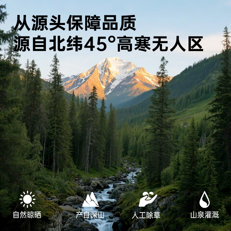 绿山珍品黑木耳东北特产干货肉厚东北木耳凉拌木耳100g/袋