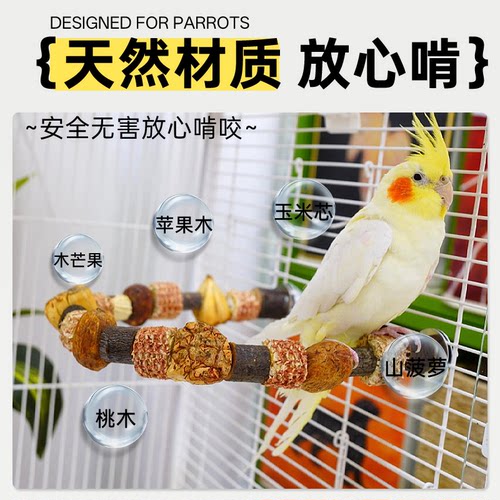 宠大条鹦鹉玩具啃咬攀爬爬梯站杆磨牙健齿牡丹玄凤益智鸟笼配件 - 图2