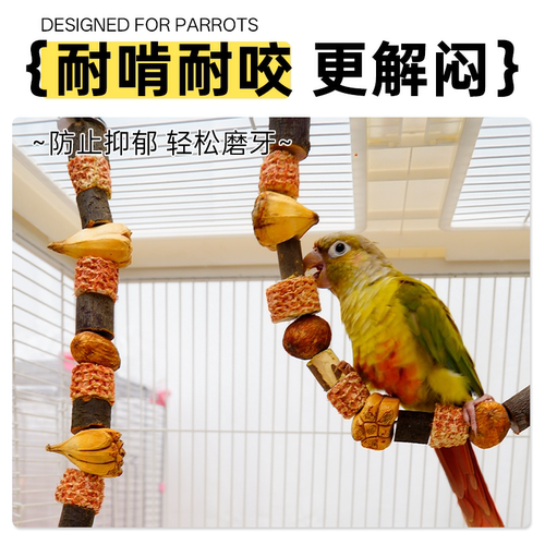 宠大条鹦鹉玩具啃咬攀爬爬梯站杆磨牙健齿牡丹玄凤益智鸟笼配件 - 图1