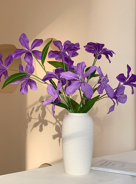 白色北欧陶瓷可装水干花花瓶