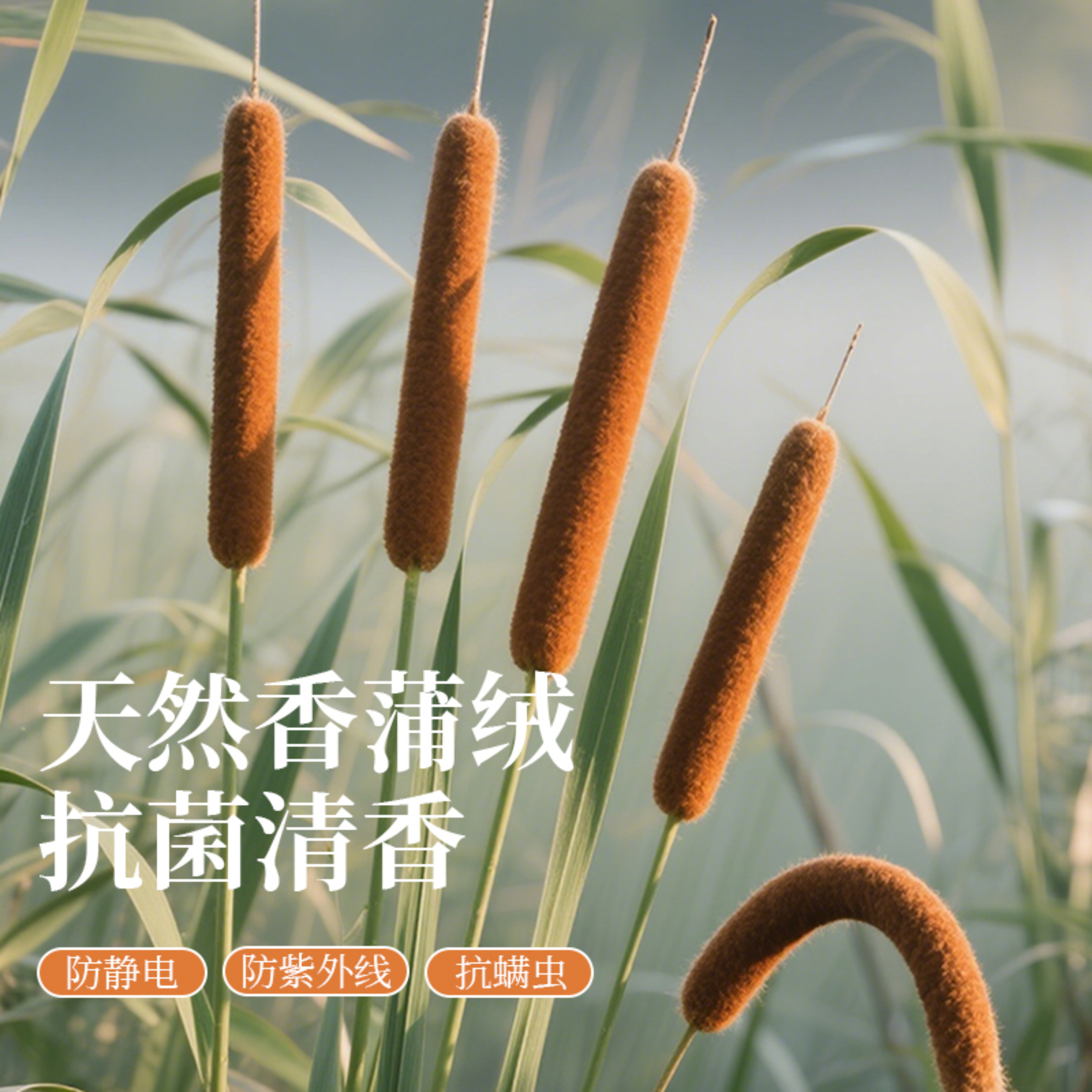 新款男女中领秋衣秋裤半高领保暖衣羊毛蚕丝保暖内衣套装