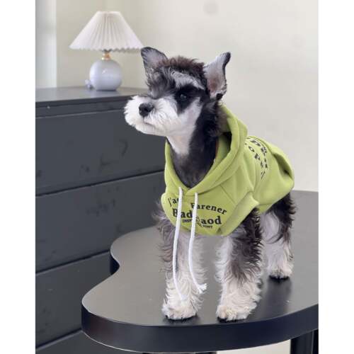 宠物猫狗衣服秋冬潮牌糖果色纯棉无袖卫衣防掉毛中小大型犬卫衣 - 图3