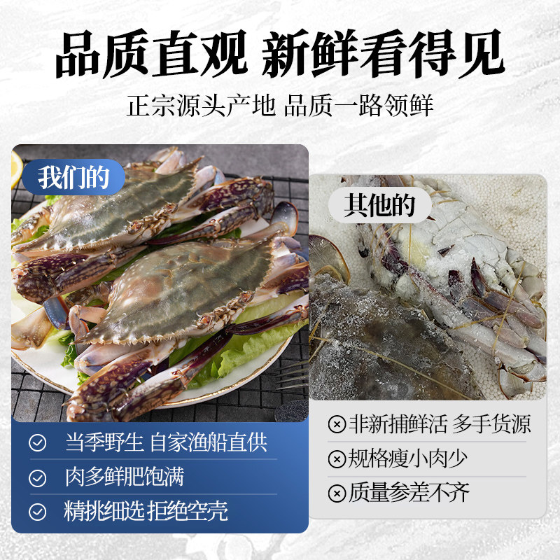 梭子蟹青岛本地特大螃蟹新鲜冷冻海捕海飞蟹白蟹海鲜水产顺丰包邮,淘宝优惠券,粉丝福利购,淘宝优惠卷
