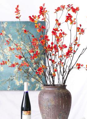 仿真蓝莓果石榴仿真花树枝植物干花束客厅摆设室内客厅插花艺装饰