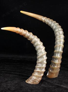 客厅卫生间厨房工艺品卧室缺补牛角摆件特色牛角装饰收藏