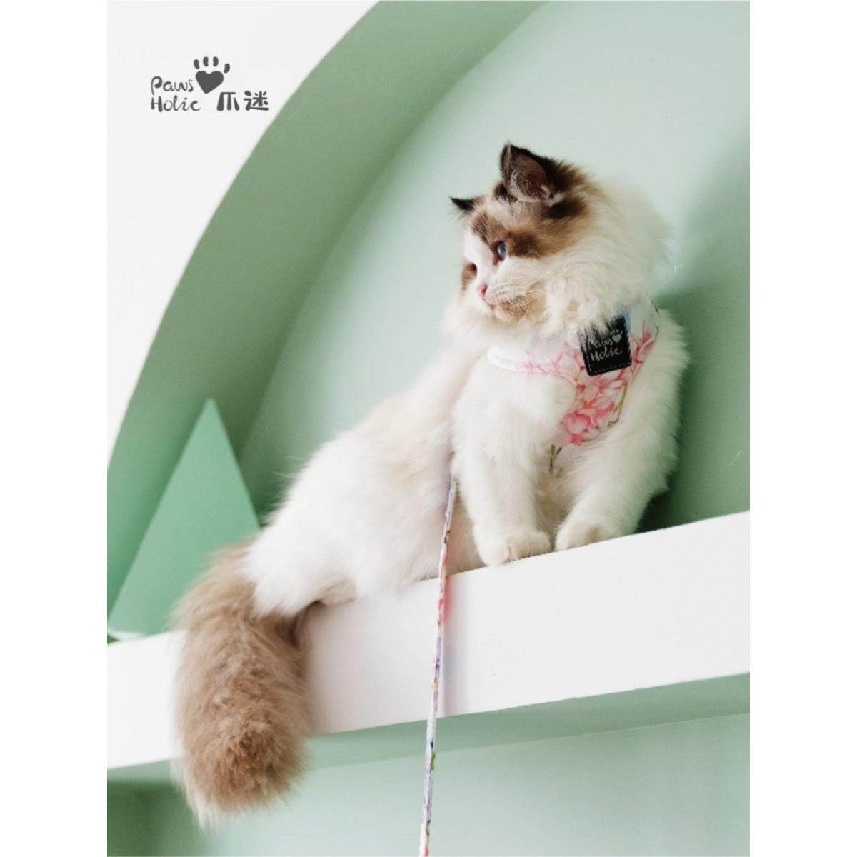 Pawsholic猫皮带背心式挽具防分离宠物户外猫皮带,淘宝优惠券,粉丝福利购,淘宝优惠卷