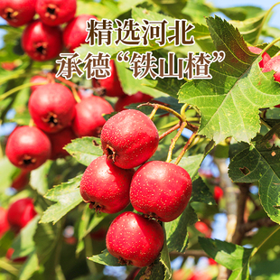 【享开点】空心无核山楂球250g