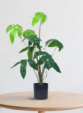 北欧风仿真发财树盆栽假绿植盆景家居室内客厅茶几阳台装饰品