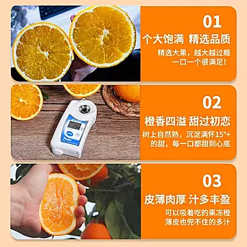 h'f2元，正宗赣南脐橙精品一级果5斤[17元优惠券]-寻折猪