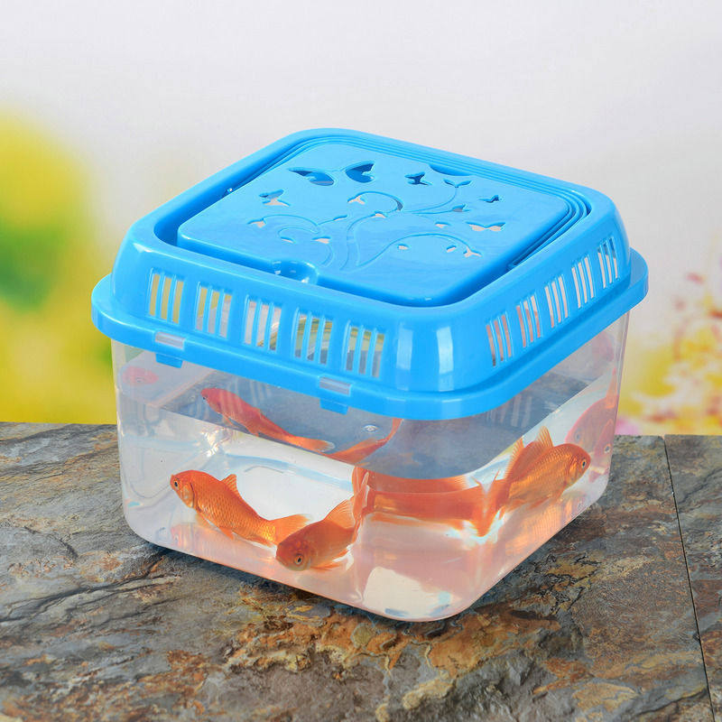 手提乌龟运输盒 宠物盒 透明塑料金鱼缸仓鼠盒 运输盒饲养盒,淘宝优惠券,粉丝福利购,淘宝优惠卷