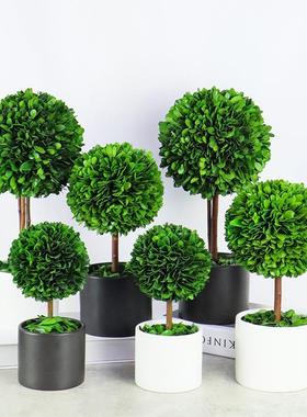 电视柜摆件永生绿植盆栽客厅桌面家居饰品玄关创意简约酒柜装饰品