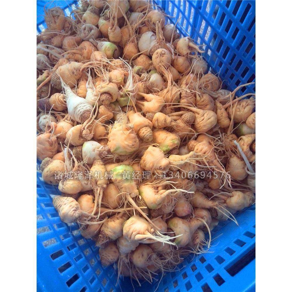 波斯椰枣浸糖锅 凤梨干真空浸渍机 地瓜干浸糖设备,淘宝优惠券,粉丝福利购,淘宝优惠卷