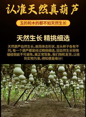 红色天然五福葫芦中国结挂件挂件八卦葫芦客厅五福临门饰品门到门