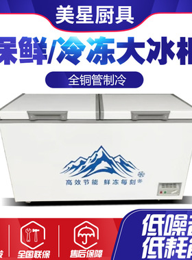 展示大冰柜商用保鲜冷冻两用大容量冷藏卧式岛柜家用冰箱超大冰柜