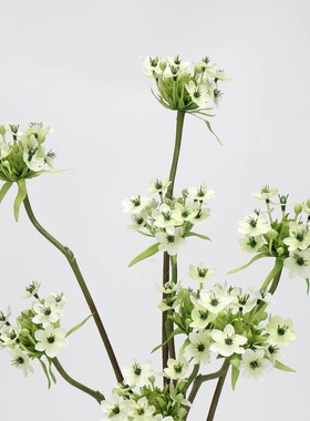 2025新款欧式仿真天鹅绒伯利恒之心装饰家居摆件拍照拍摄道具