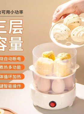 德国蒸蛋器家用全自动断电多功能双层煮鸡蛋电蒸锅蒸包子鸡蛋神器