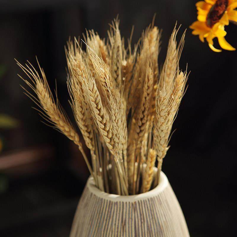 景德镇现代简约陶瓷花瓶瓷器陶罐小号客厅乾燥花插花器餐桌装饰品,淘宝优惠券,粉丝福利购,淘宝优惠卷