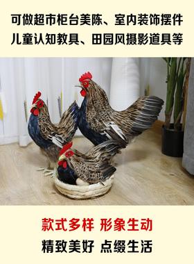 仿真大母鸡模型鸡摆件摄影道具真羽毛工艺品造景假鸡家居招财摆件