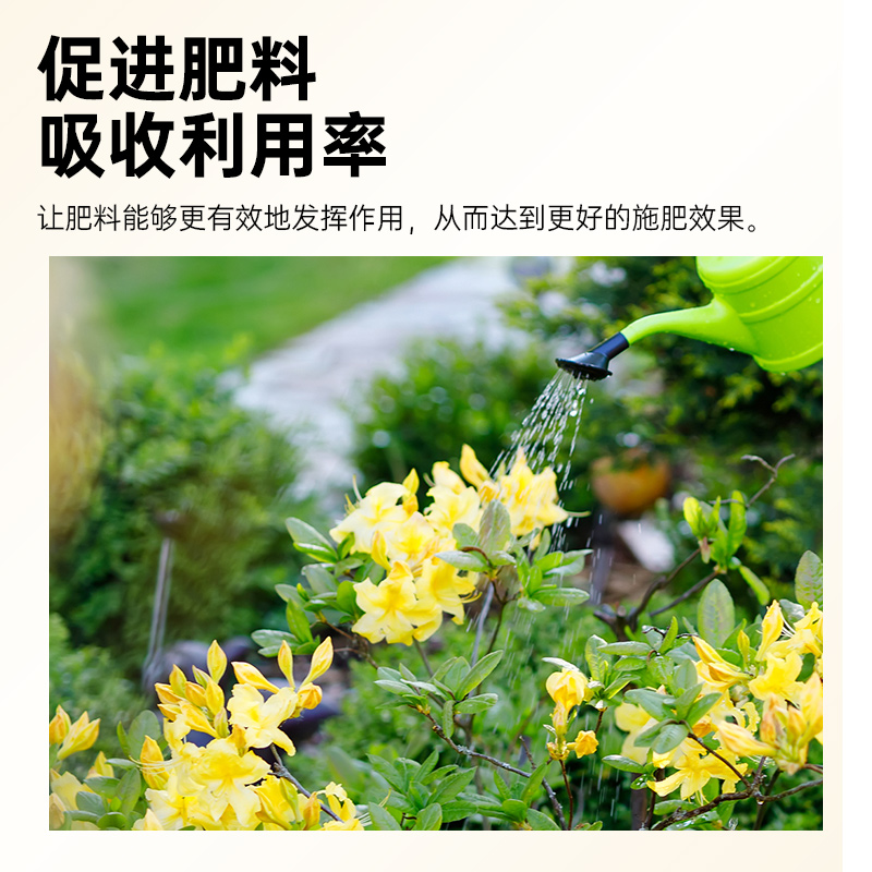 上甫0.5%氨基寡糖素番茄西红柿病毒病花叶病植物抗农药杀菌杀虫剂