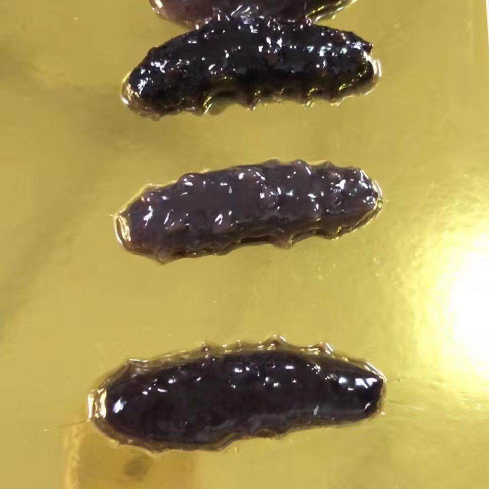 海鲜冷冻制品真空贴体机 鲍鱼真空包装机 水果贴体包装设备包装盒,淘宝优惠券,粉丝福利购,淘宝优惠卷