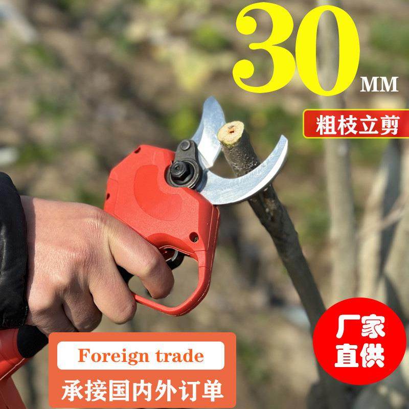电动修枝剪电动剪刀园林果树家用园林园艺锂电充电果树粗枝电剪刀,淘宝优惠券,粉丝福利购,淘宝优惠卷