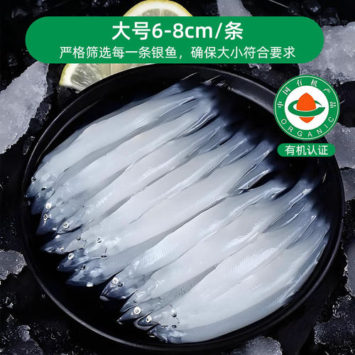一诺有机新鲜银鱼大号鲜活冷冻淡水无骨无刺宝宝辅食非太湖三白 - 图0