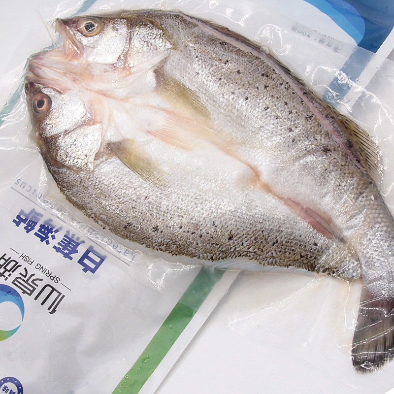 仙泉湖三去白蕉海鲈鱼500g*3条净膛冷冻刺少肉厚珠海特产水产,淘宝优惠券,粉丝福利购,淘宝优惠卷
