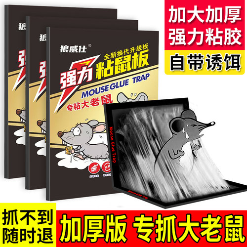 30张老鼠粘强力粘鼠板抓大老鼠贴夹扑捉鼠胶沾强力粘鼠捕鼠神器 - 图1