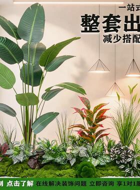彷真绿色植物造景组合商场橱窗布置室内外隔断高端假植物假树落地