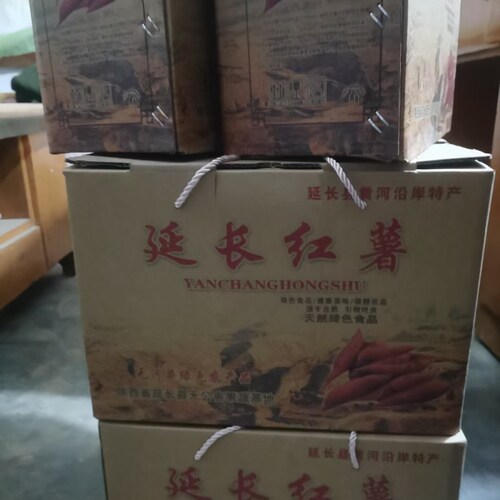 现挖陕西延安延长罗子山红薯老品种黄河畔黄心白心火焰山红薯 - 图1