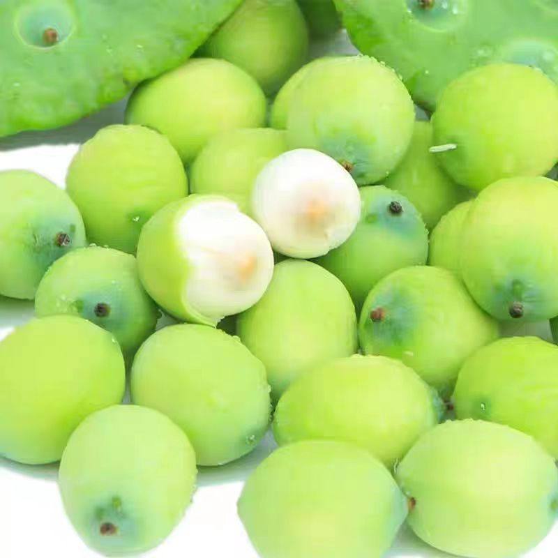 现剥嫩莲子湖北洪湖新鲜嫩莲蓬带绿壳湖北生吃孕妇水果莲顺丰包邮,淘宝优惠券,粉丝福利购,淘宝优惠卷