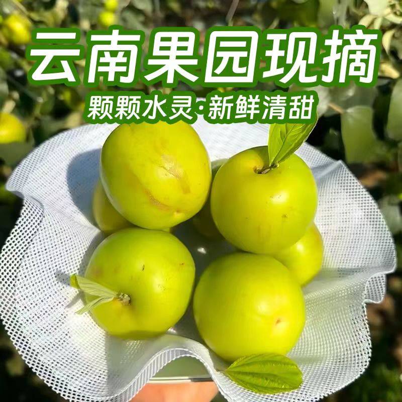 正宗西双版纳苹果枣现摘云南花斑苹果枣脆甜当季冬枣新鲜水果整箱,淘宝优惠券,粉丝福利购,淘宝优惠卷