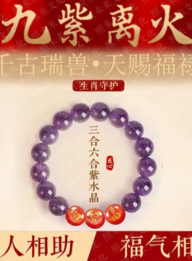 五台山九紫离火十二生肖三合六合手串驾车用品