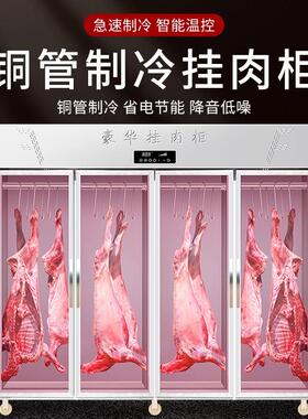 挂肉柜超大容量单门双门三门立式鲜肉柜冷藏冷冻牛羊肉排酸展示柜
