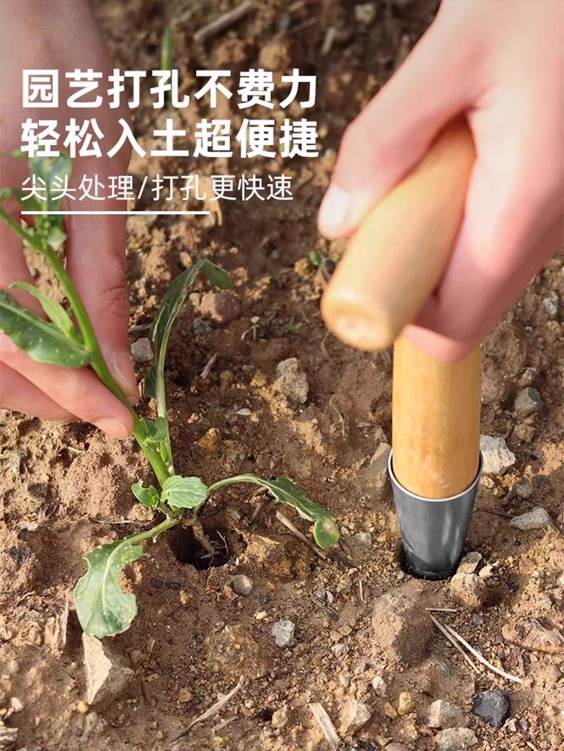 播种打洞器移苗追肥种菜不锈钢育苗菜籽多肉工具播籽花园种苗神器,淘宝优惠券,粉丝福利购,淘宝优惠卷