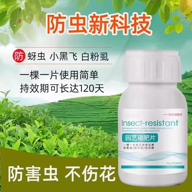 园艺防虫片驱虫除蓟马糖化硼肥片盆栽果花卉植物防烂根土壤养花 - 图2