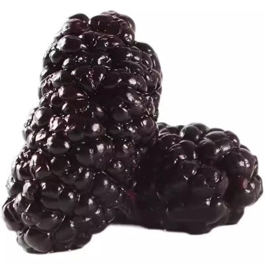 Сушеная черная шелковица, дикие крупные зерна, сырая шелковица, замоченная в воде для чая, специальные новые товары подсорта шелковицы, родом из Синьцзяна, специальные фрукты