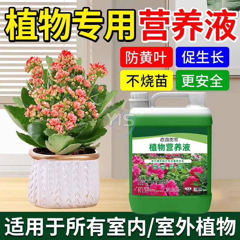 超浓缩植物营养液花肥通用化肥料家用绿植盆栽绿萝叶黄万能富贵竹,淘宝优惠券,粉丝福利购,淘宝优惠卷