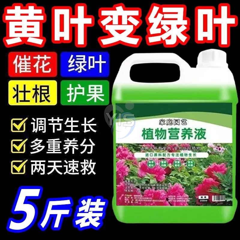 超浓缩植物营养液花肥通用化肥料家用绿植盆栽绿萝叶黄万能富贵竹,淘宝优惠券,粉丝福利购,淘宝优惠卷