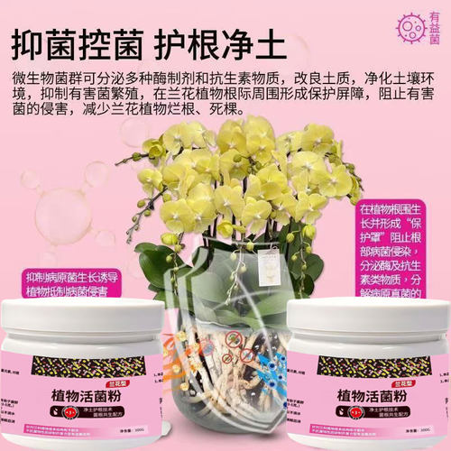 植物活菌粉兰花专用菌微生物菌剂养根壮根防烂根水溶肥兰菌粉肥料 - 图1