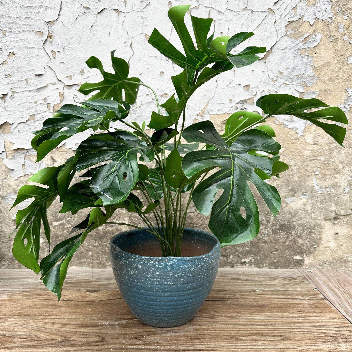 手工陶艺大口径粗陶罐子创意盆景盆栽拼盘乌龟缸覆古无孔水培花盆,淘宝优惠券,粉丝福利购,淘宝优惠卷