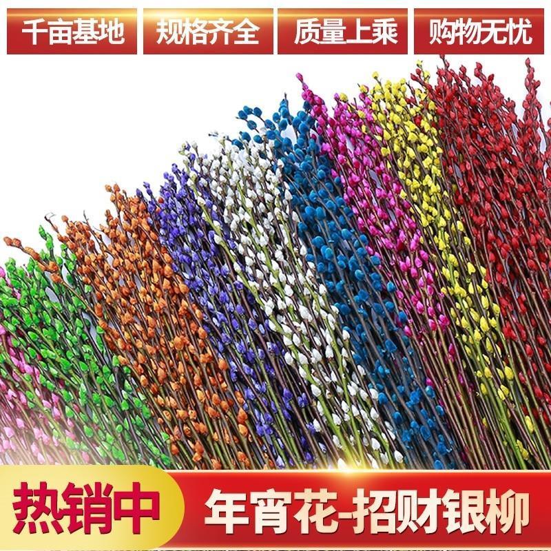 银柳红色真花干花鲜枝客厅桌面水培过年宵装饰福桶冬季鲜花束