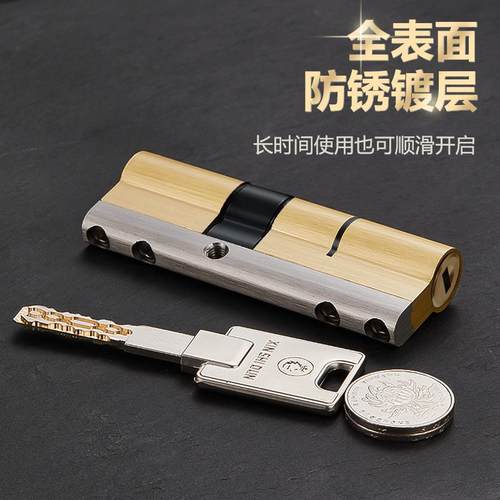 欣狮盾锁芯超c级家用通用型防盗门多轨道56全铜叶片防盗入户大门 - 图0