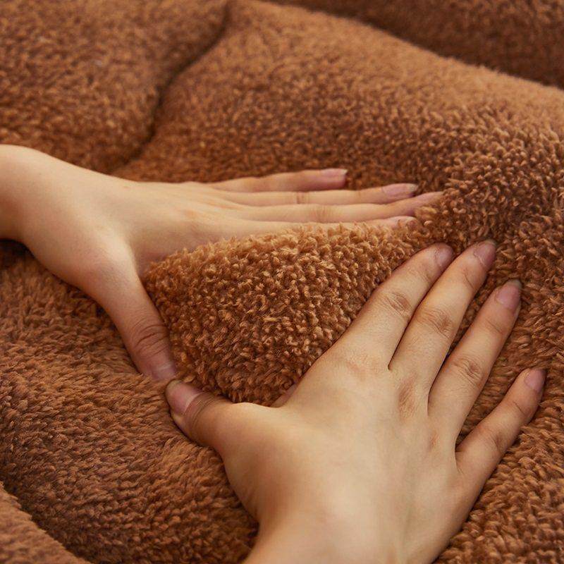 加厚羊羔绒床垫软垫家用宿舍学生冬季床褥毛毯褥子加厚牛奶珊瑚绒,淘宝优惠券,粉丝福利购,淘宝优惠卷